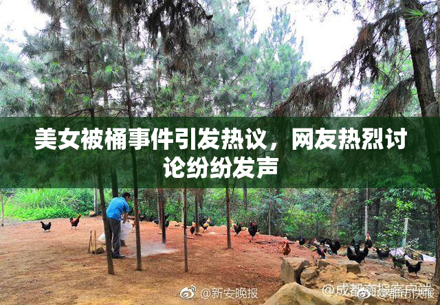 美女被桶事件引发热议，网友热烈讨论纷纷发声