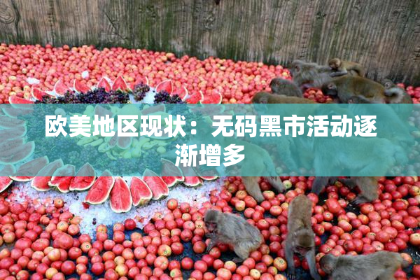 欧美地区现状：无码黑市活动逐渐增多