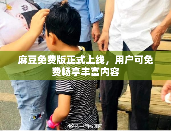 麻豆免费版正式上线，用户可免费畅享丰富内容
