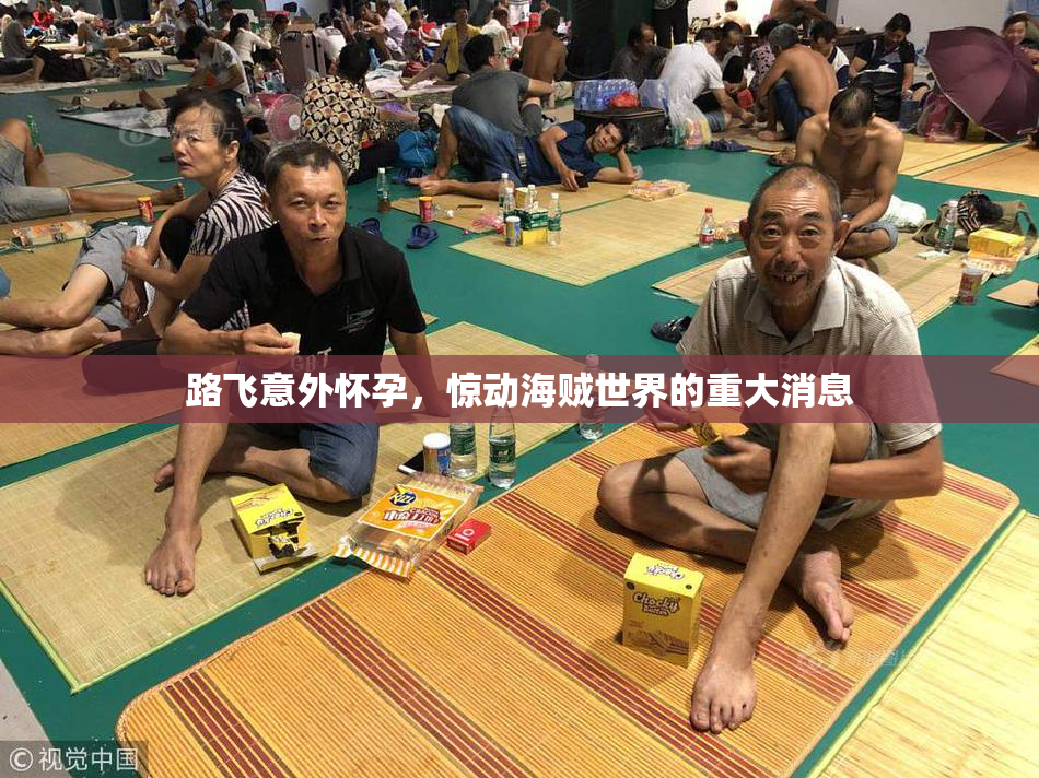 路飞意外怀孕，惊动海贼世界的重大消息