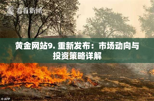 黄金网站9. 重新发布：市场动向与投资策略详解
