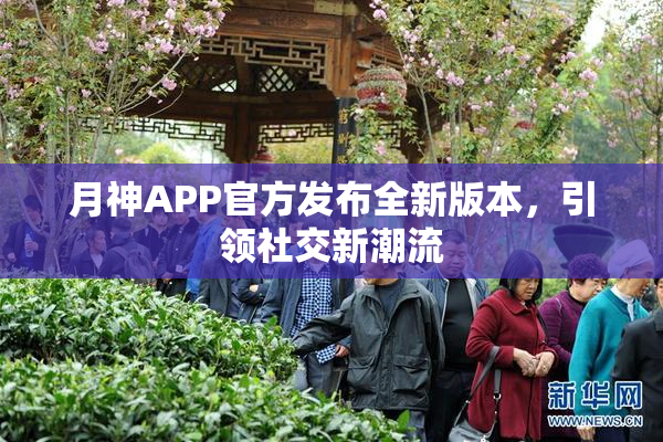 月神APP官方发布全新版本，引领社交新潮流