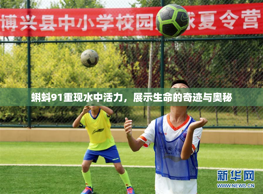 蝌蚪91重现水中活力，展示生命的奇迹与奥秘