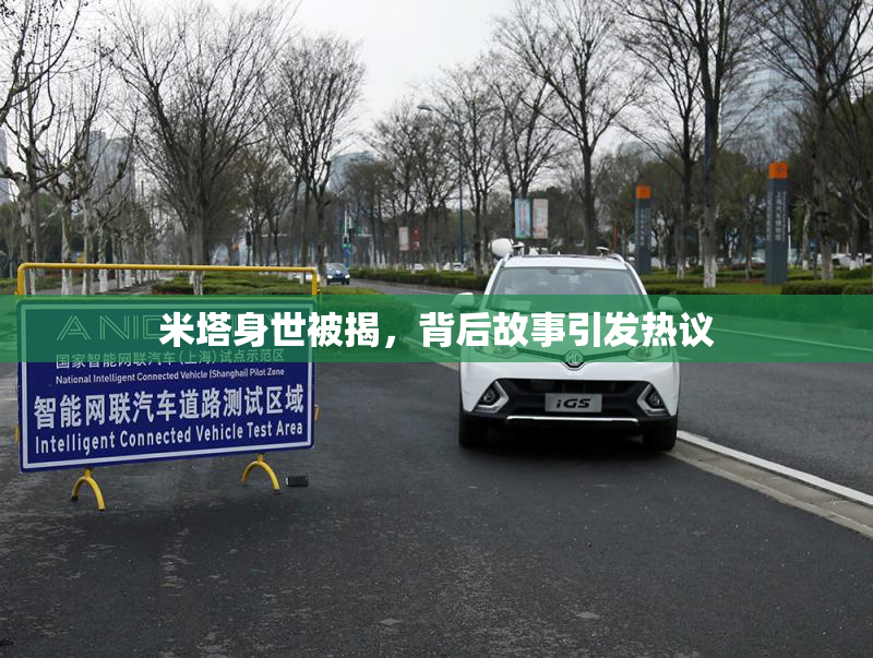 米塔身世被揭，背后故事引发热议
