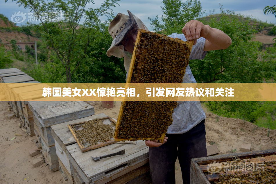 韩国美女XX惊艳亮相，引发网友热议和关注