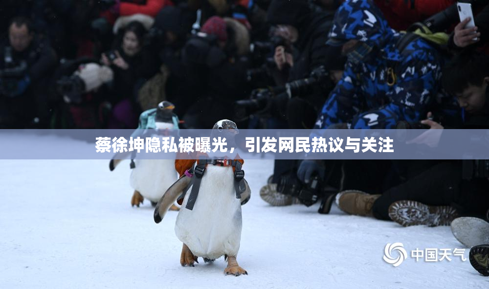 蔡徐坤隐私被曝光，引发网民热议与关注