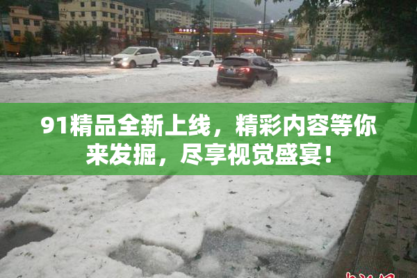 91精品全新上线，精彩内容等你来发掘，尽享视觉盛宴！