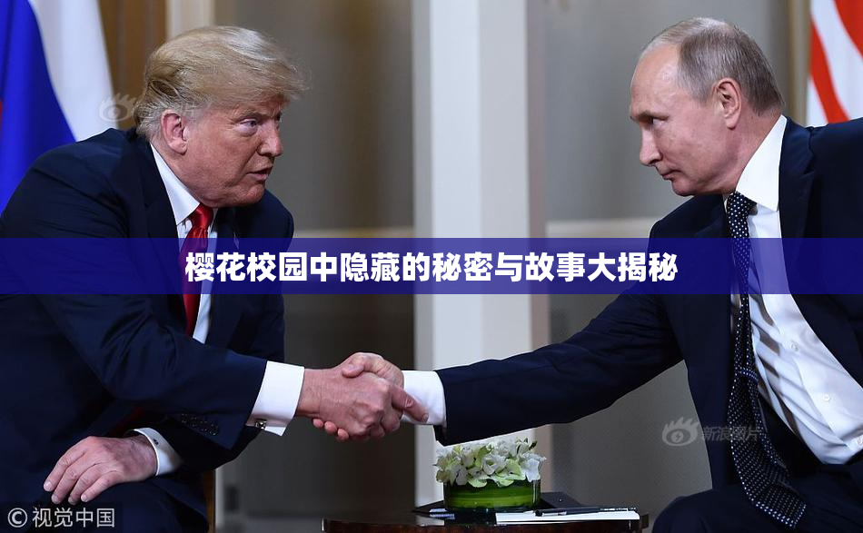 樱花校园中隐藏的秘密与故事大揭秘