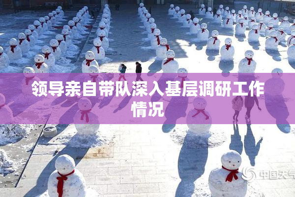 领导亲自带队深入基层调研工作情况