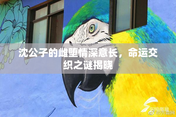 沈公子的雌堕情深意长，命运交织之谜揭晓