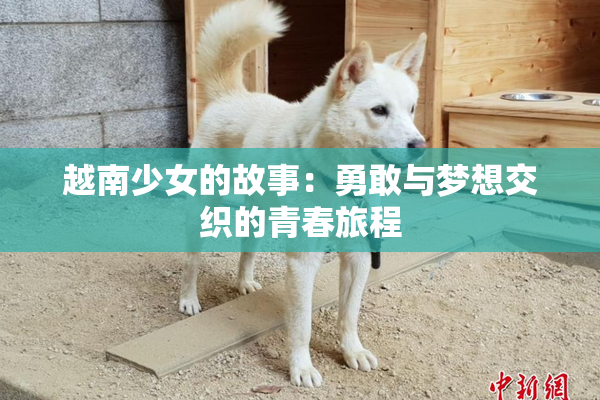 越南少女的故事：勇敢与梦想交织的青春旅程