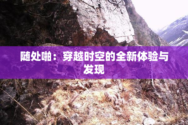 随处啪：穿越时空的全新体验与发现