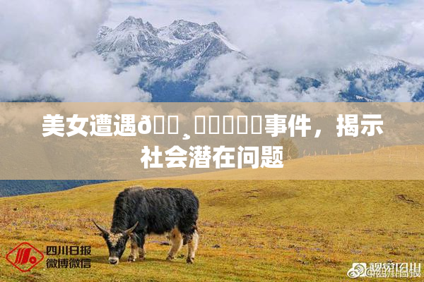 美女遭遇🌸‌❌‌❌‌事件，揭示社会潜在问题
