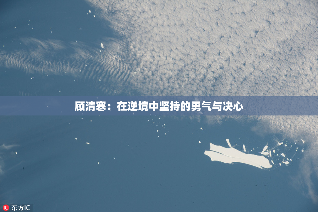 顾清寒：在逆境中坚持的勇气与决心