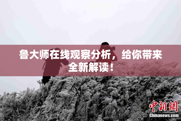 鲁大师在线观察分析，给你带来全新解读！