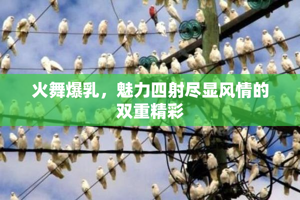 火舞爆乳，魅力四射尽显风情的双重精彩