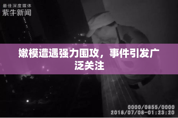 嫩模遭遇强力围攻，事件引发广泛关注