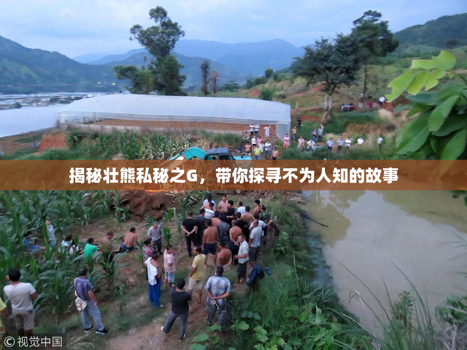 揭秘壮熊私秘之G，带你探寻不为人知的故事