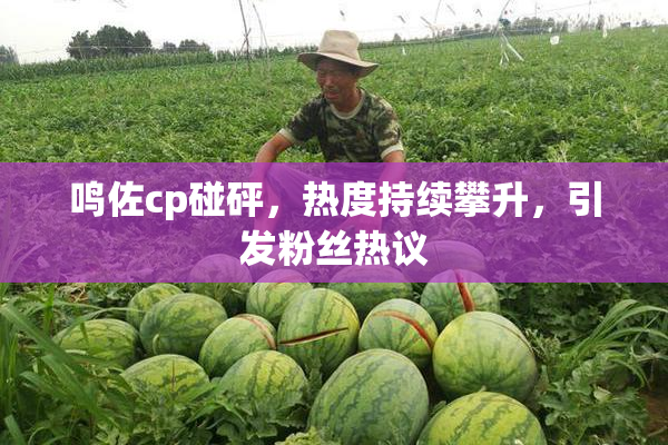 鸣佐cp碰砰，热度持续攀升，引发粉丝热议