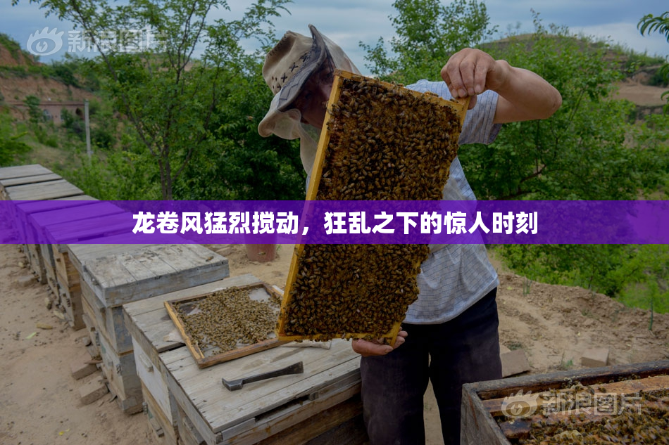 龙卷风猛烈搅动，狂乱之下的惊人时刻