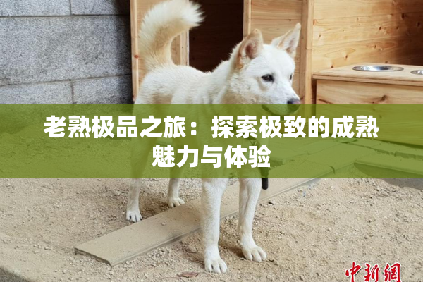 老熟极品之旅：探索极致的成熟魅力与体验