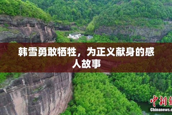 韩雪勇敢牺牲，为正义献身的感人故事