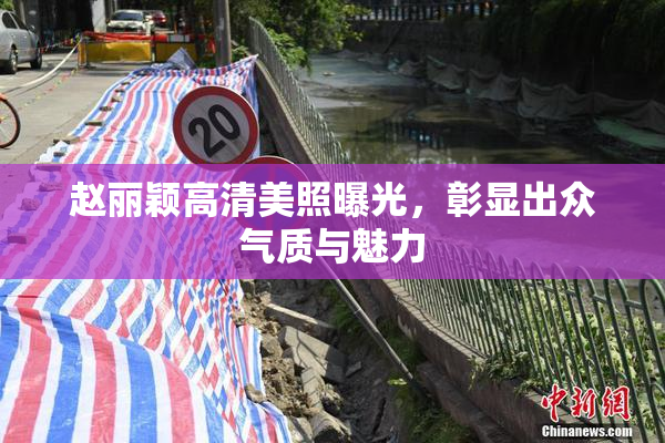 赵丽颖高清美照曝光，彰显出众气质与魅力