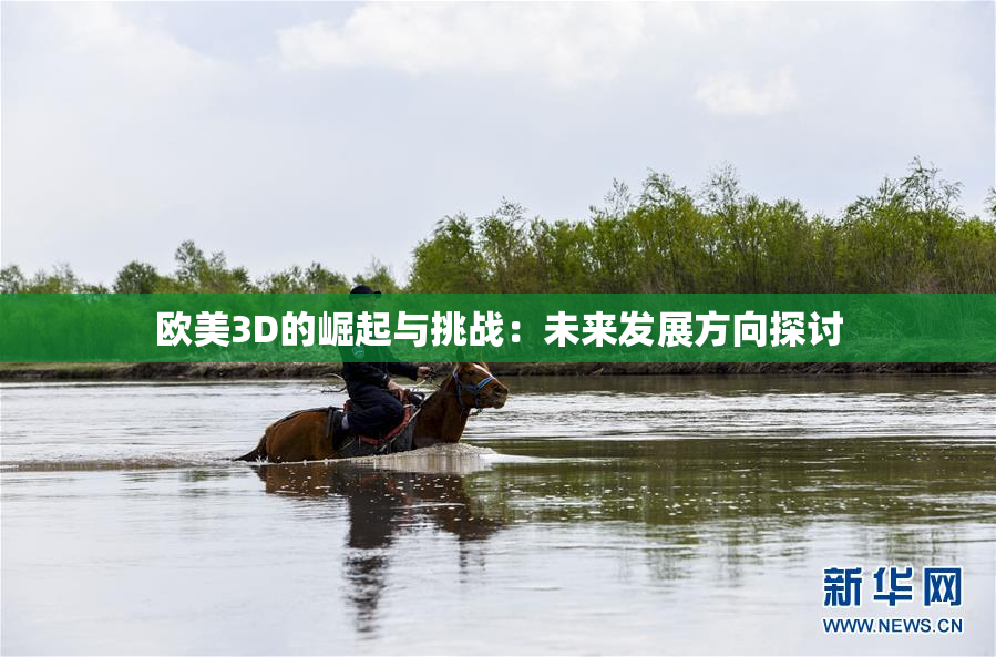 欧美3D的崛起与挑战：未来发展方向探讨