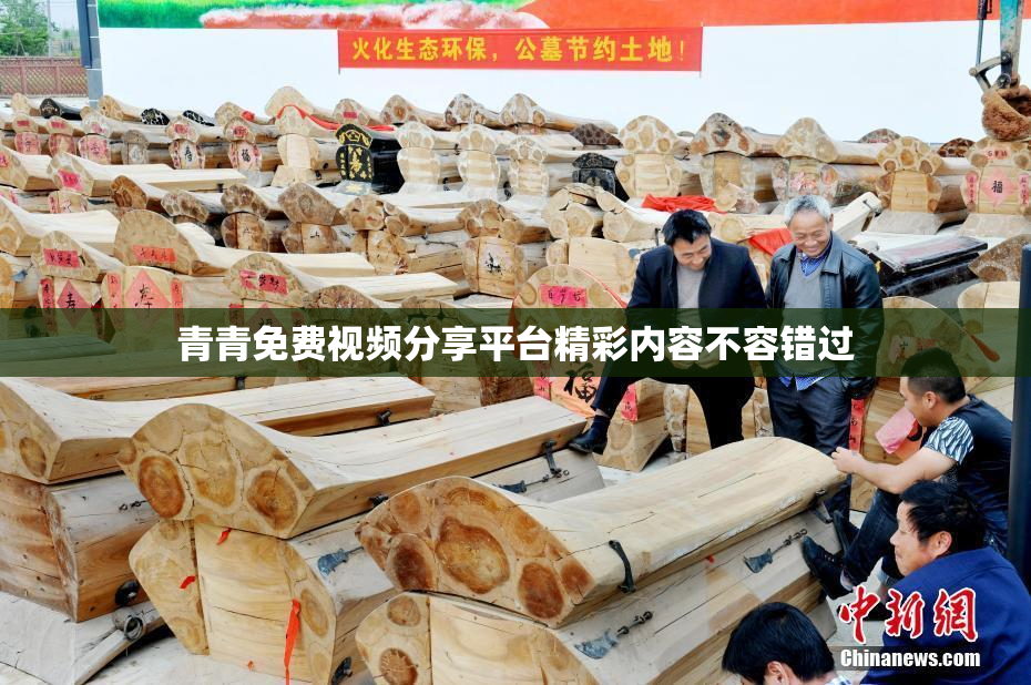 青青免费视频分享平台精彩内容不容错过