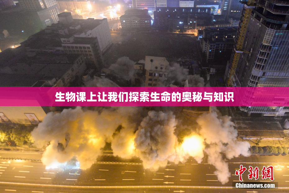 生物课上让我们探索生命的奥秘与知识