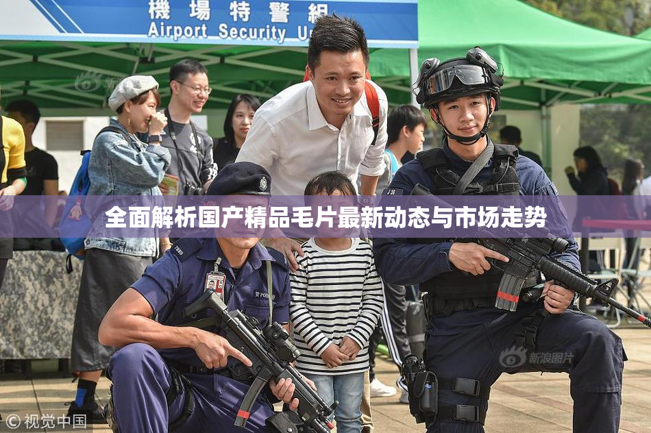 全面解析国产精品毛片最新动态与市场走势