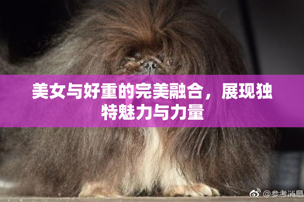 美女与好重的完美融合，展现独特魅力与力量