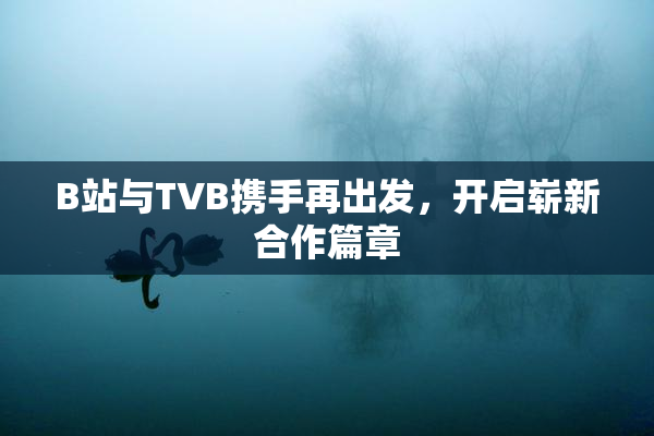 B站与TVB携手再出发，开启崭新合作篇章