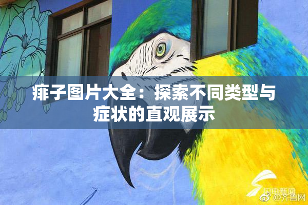 痱子图片大全：探索不同类型与症状的直观展示