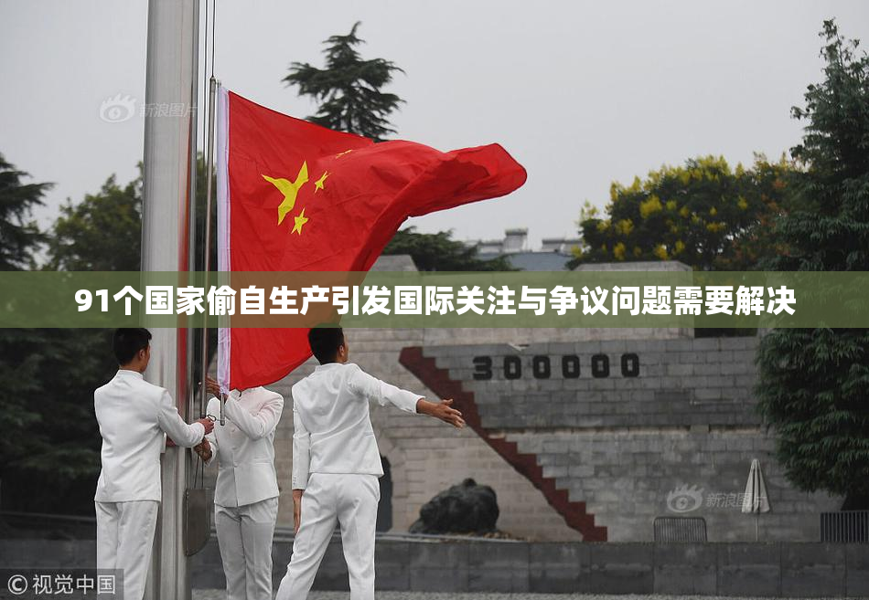 91个国家偷自生产引发国际关注与争议问题需要解决