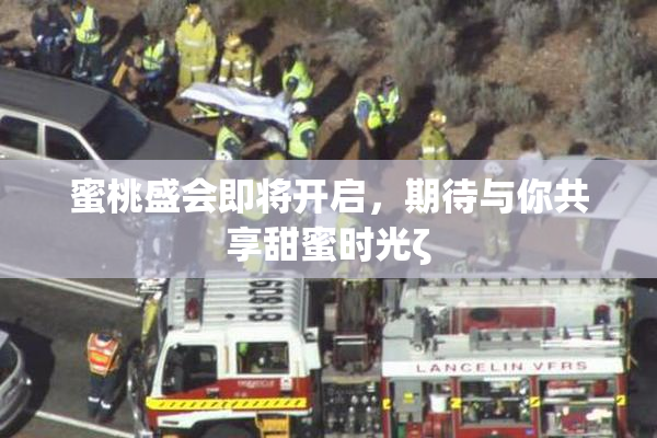 蜜桃盛会即将开启，期待与你共享甜蜜时光ζ
