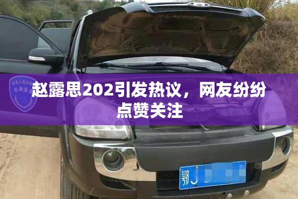 赵露思202引发热议，网友纷纷点赞关注