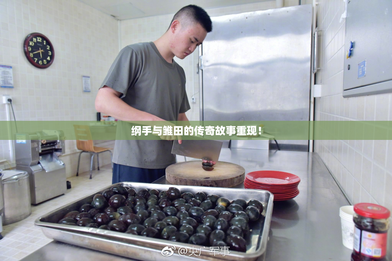 纲手与雏田的传奇故事重现！