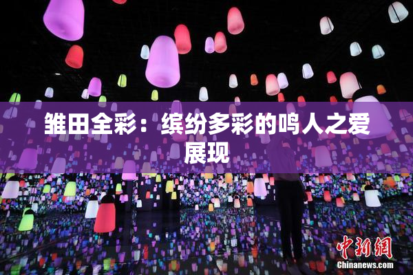 雏田全彩：缤纷多彩的鸣人之爱展现