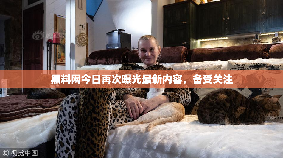 黑料网今日再次曝光最新内容，备受关注
