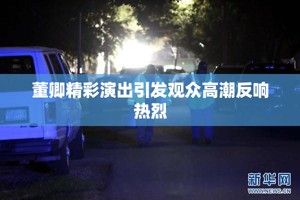 董卿精彩演出引发观众高潮反响热烈