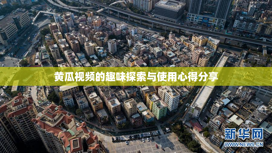 黄瓜视频的趣味探索与使用心得分享
