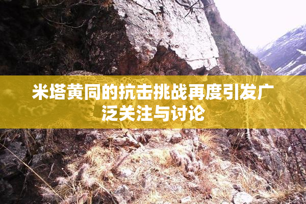 米塔黄同的抗击挑战再度引发广泛关注与讨论