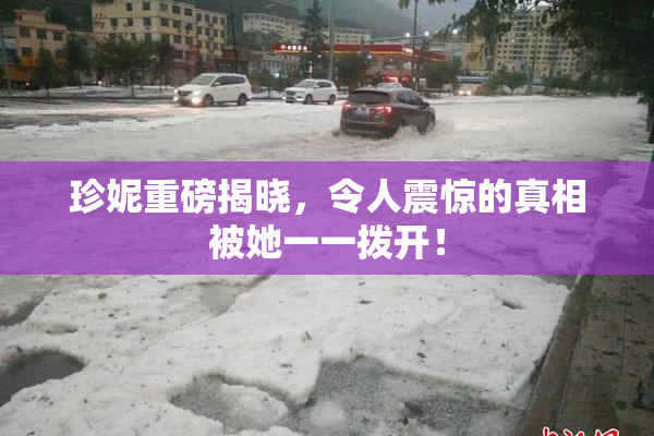 珍妮重磅揭晓，令人震惊的真相被她一一拨开！