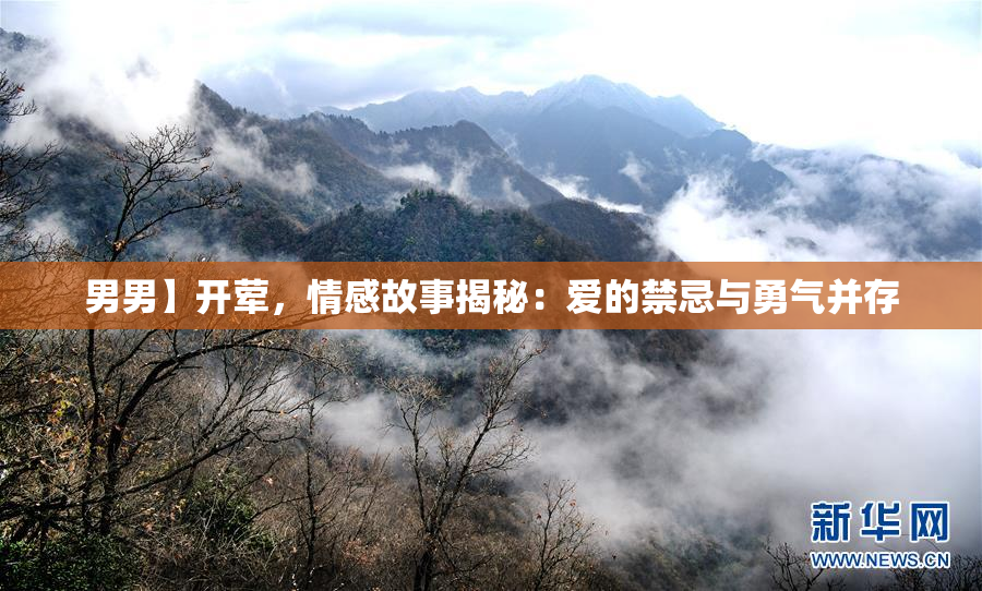 男男】开荤，情感故事揭秘：爱的禁忌与勇气并存