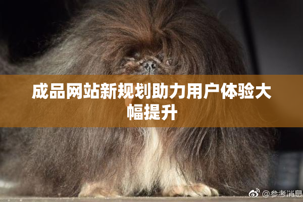 成品网站新规划助力用户体验大幅提升