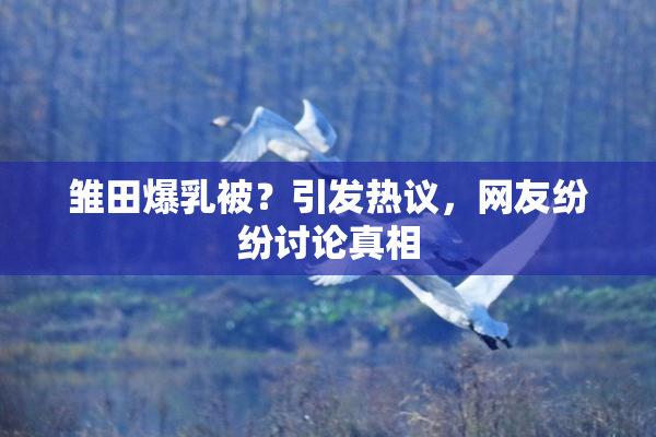 雏田爆乳被？引发热议，网友纷纷讨论真相