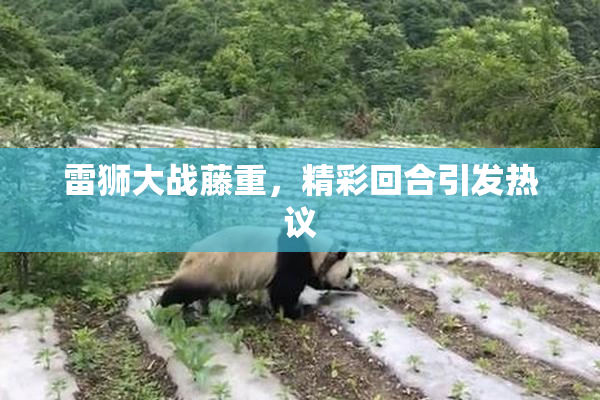 雷狮大战藤重，精彩回合引发热议