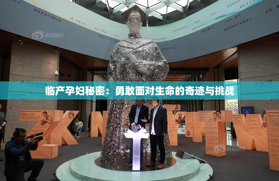 临产孕妇秘密：勇敢面对生命的奇迹与挑战