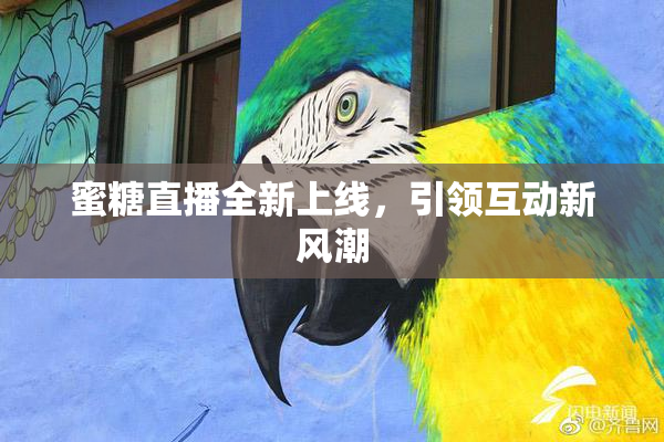 蜜糖直播全新上线，引领互动新风潮